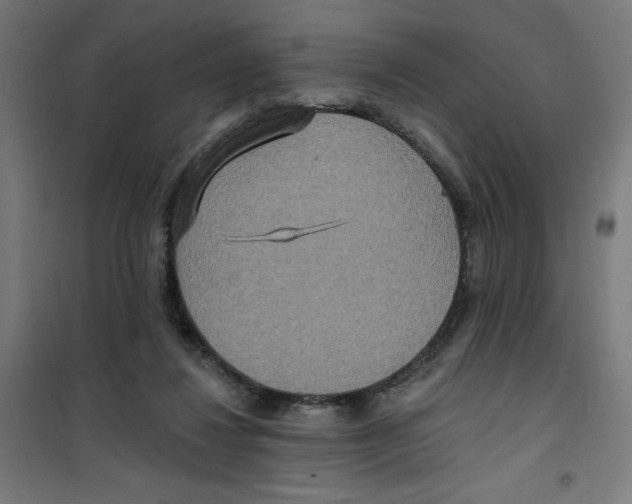 X0000100330260200807031241