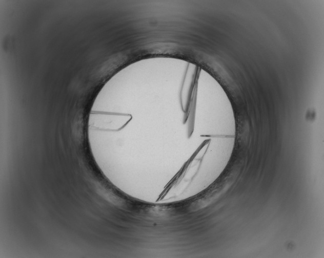 X0000100330261200807031241