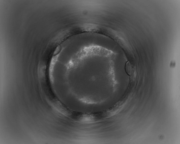 X0000100330263200807031241