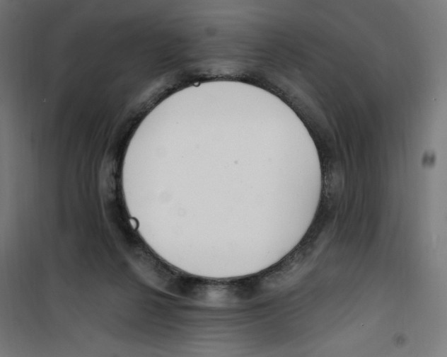 X0000100330264200807031242