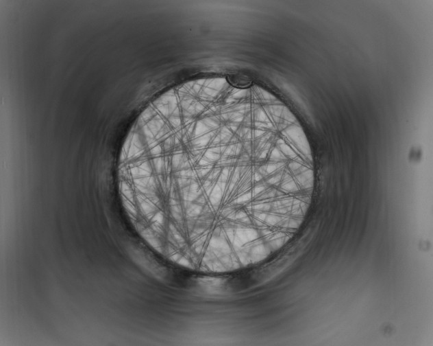 X0000100330265200807031242