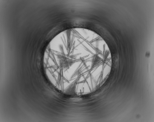 X0000100330266200807031242