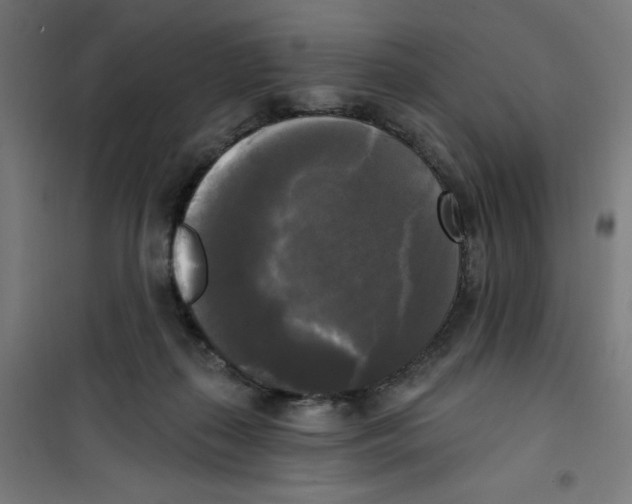 X0000100330267200807031242