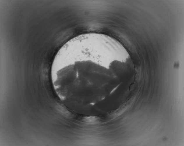 X0000100330269200807031242