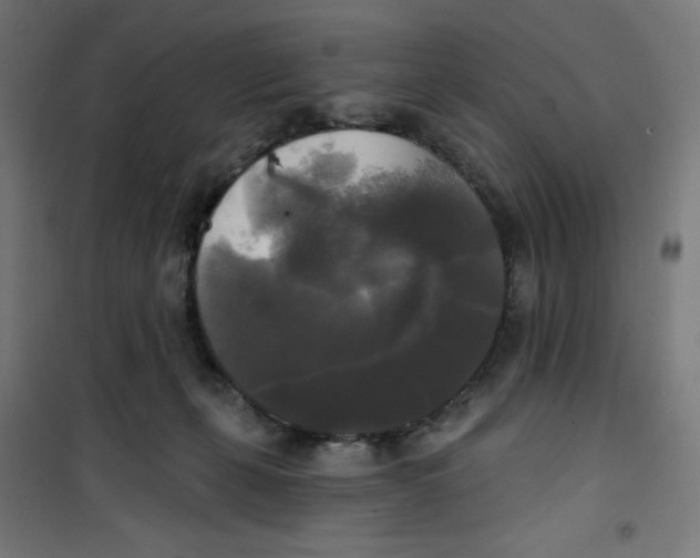 X0000100330271200807031242