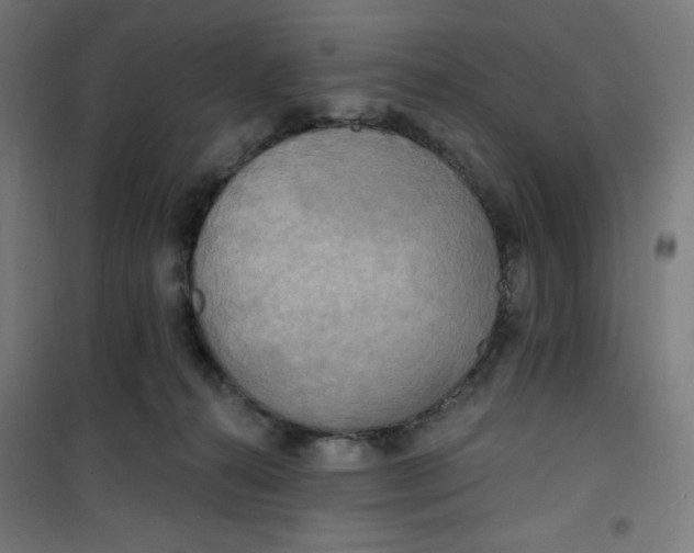 X0000100330272200807031242