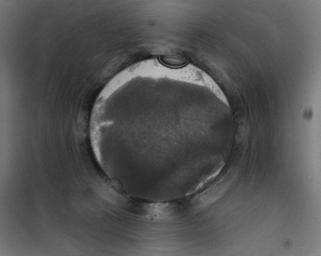 X0000100330273200807031242