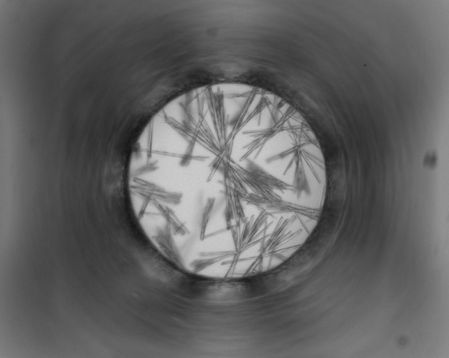 X0000100330274200807031242