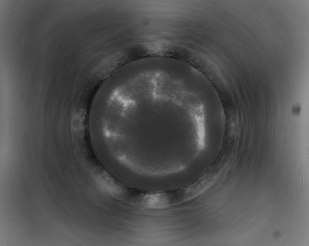 X0000100330275200807031242