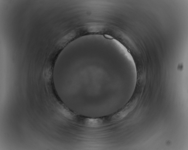 X0000100330277200807031242