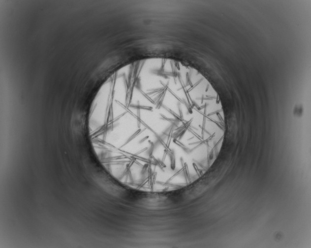 X0000100330278200807031242