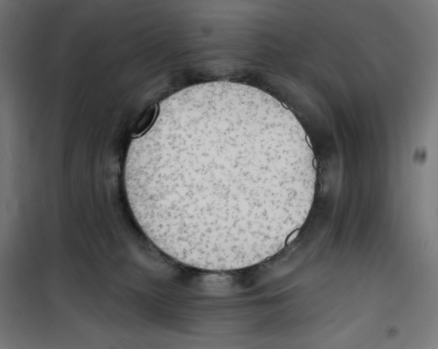 X0000100330279200807031242