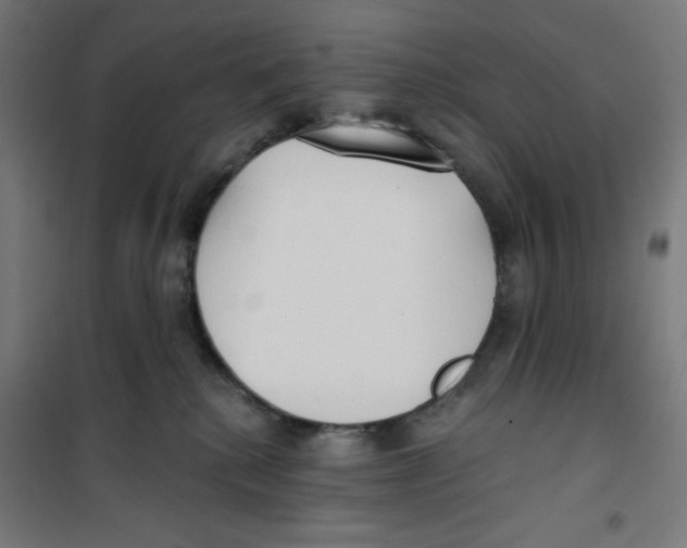 X0000100330280200807031242