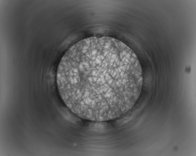 X0000100330282200807031242