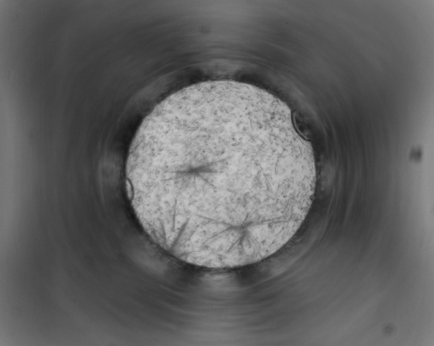 X0000100330283200807031242