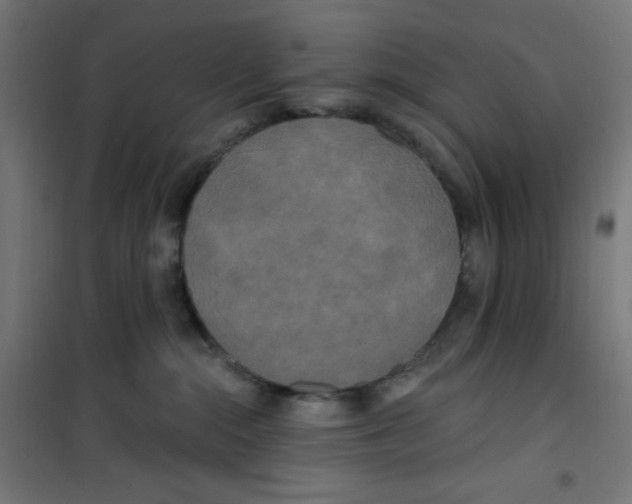 X0000100330284200807031242