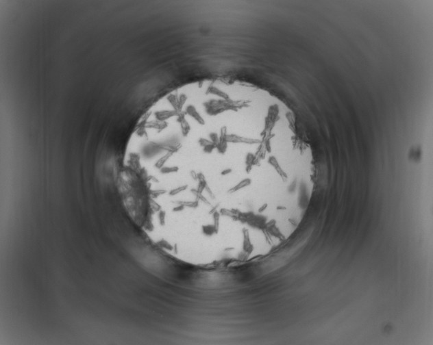X0000100330286200807031242
