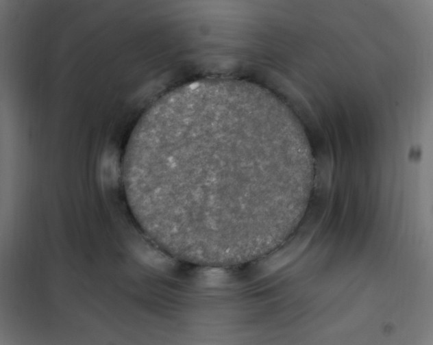 X0000100330287200807031242