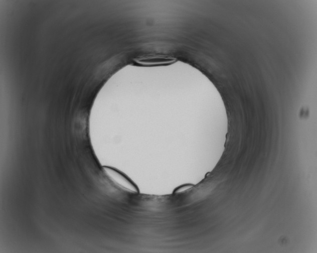 X0000100330288200807031242