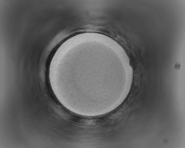 X0000100330295200807031241