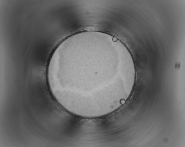 X0000100330297200807031241