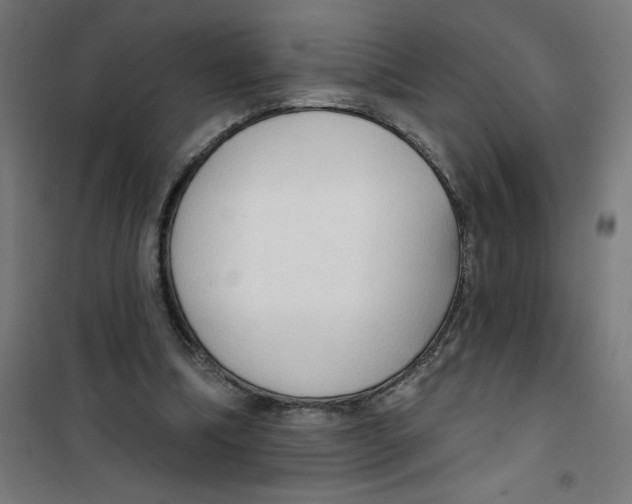 X0000100330298200807031241