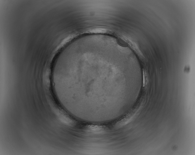 X0000100330300200807031241