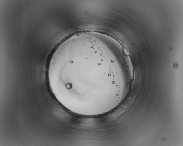 X0000100330301200807031241