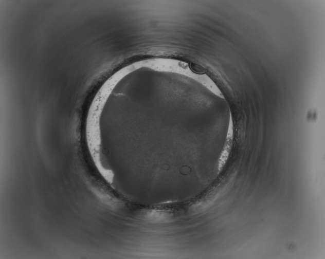 X0000100330303200807031241