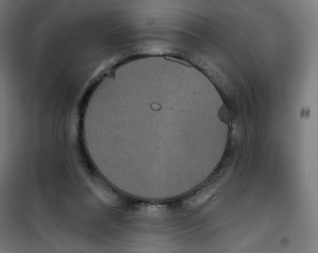 X0000100330304200807031241