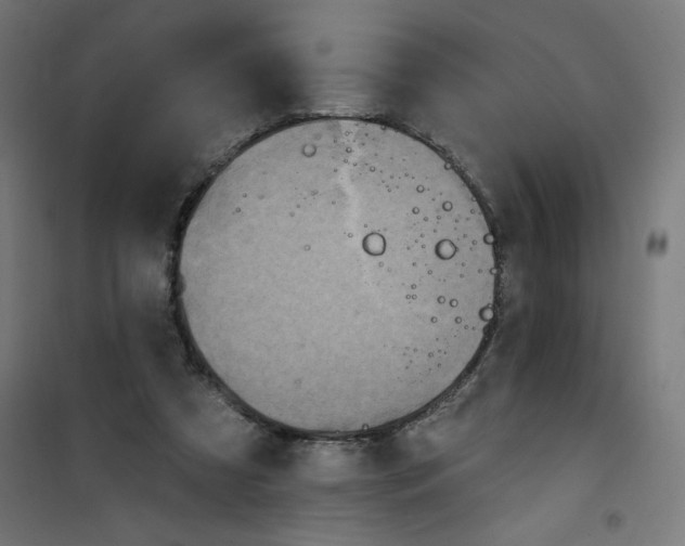 X0000100330305200807031241