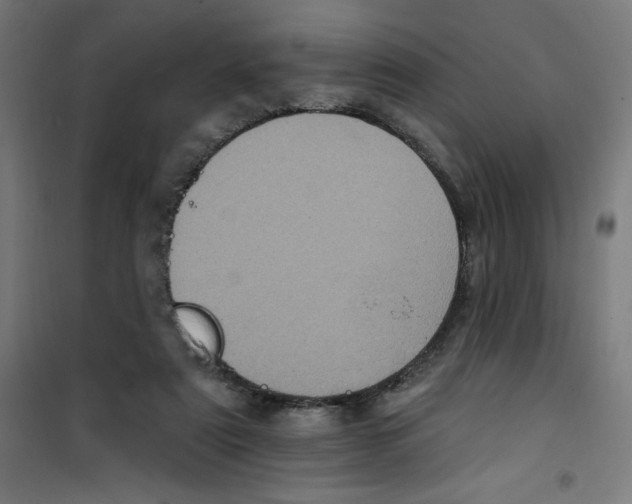 X0000100330307200807031241