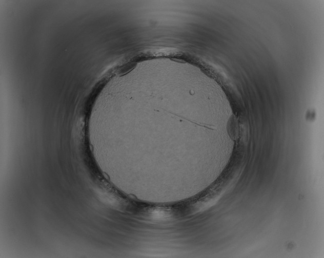 X0000100330308200807031241