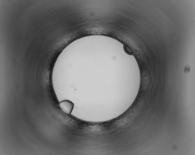 X0000100330310200807031241