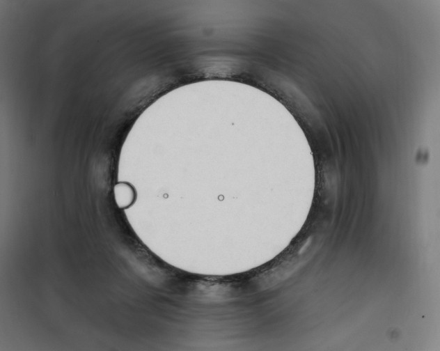 X0000100330311200807031241