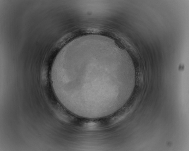 X0000100330312200807031241