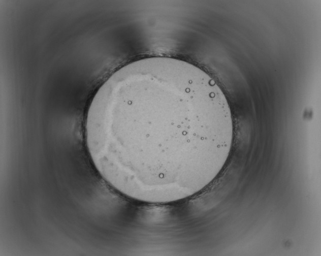 X0000100330313200807031241