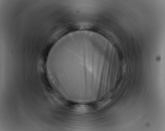 X0000100330316200807031241