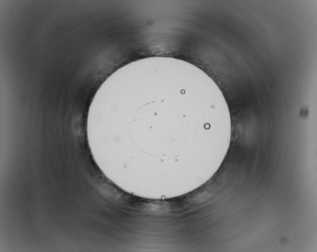 X0000100330317200807031241