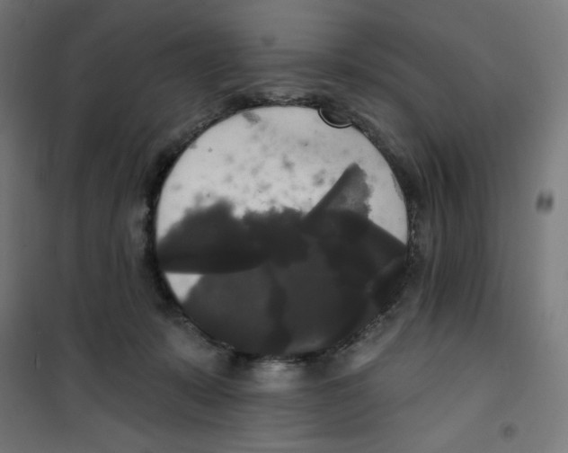 X0000100330319200807031241