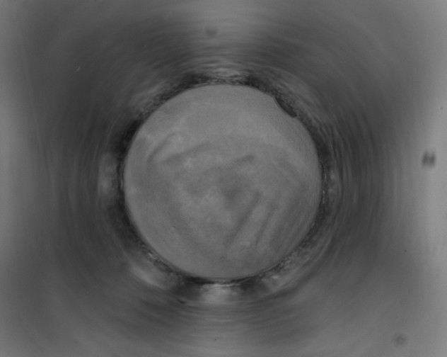 X0000100330320200807031241