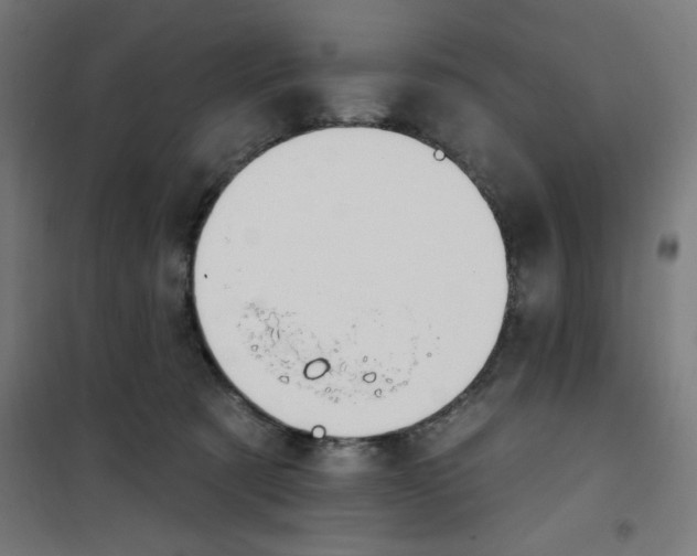 X0000100330321200807031241