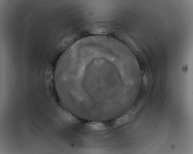 X0000100330322200807031241