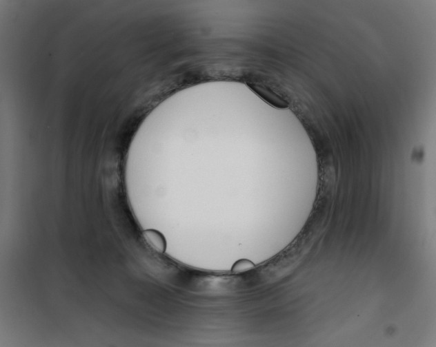 X0000100330323200807031241