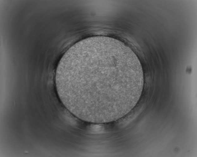 X0000100330325200807031241