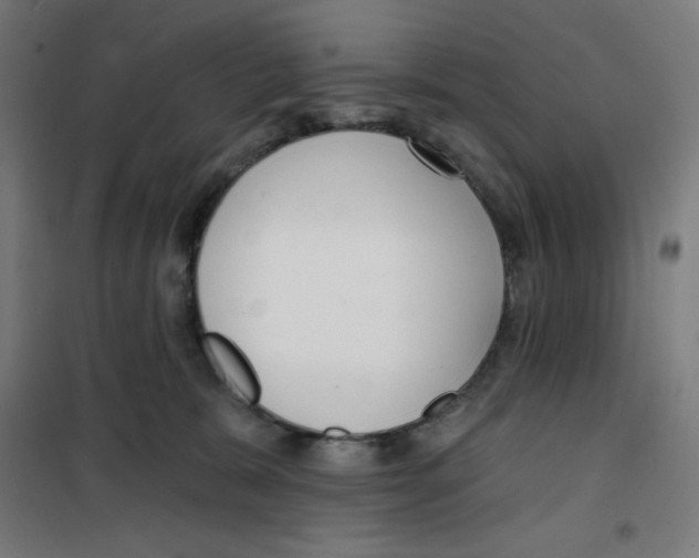 X0000100330327200807031241