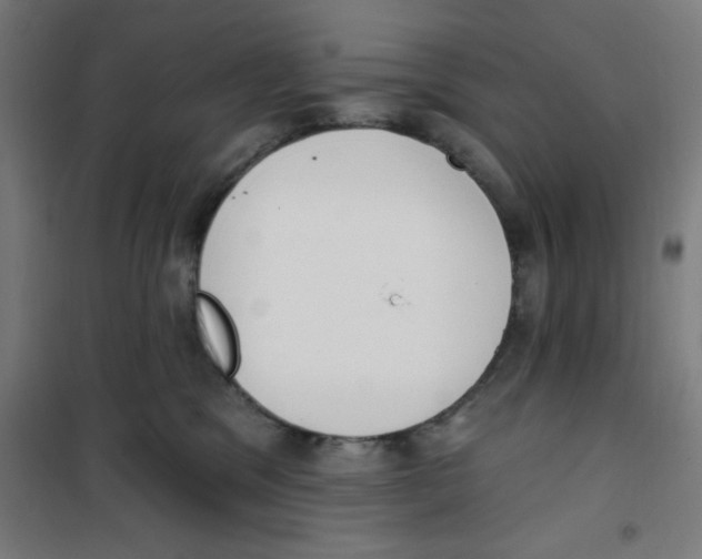 X0000100330329200807031241