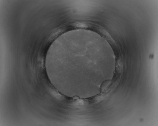 X0000100330330200807031241