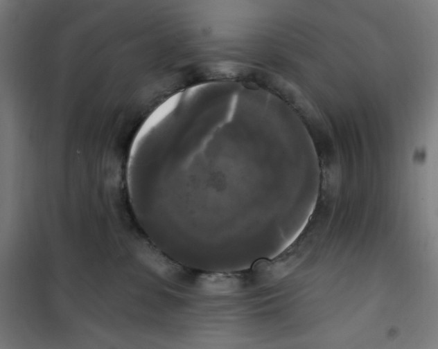 X0000100330331200807031241