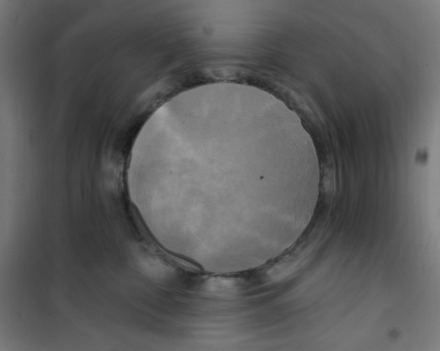 X0000100330332200807031241